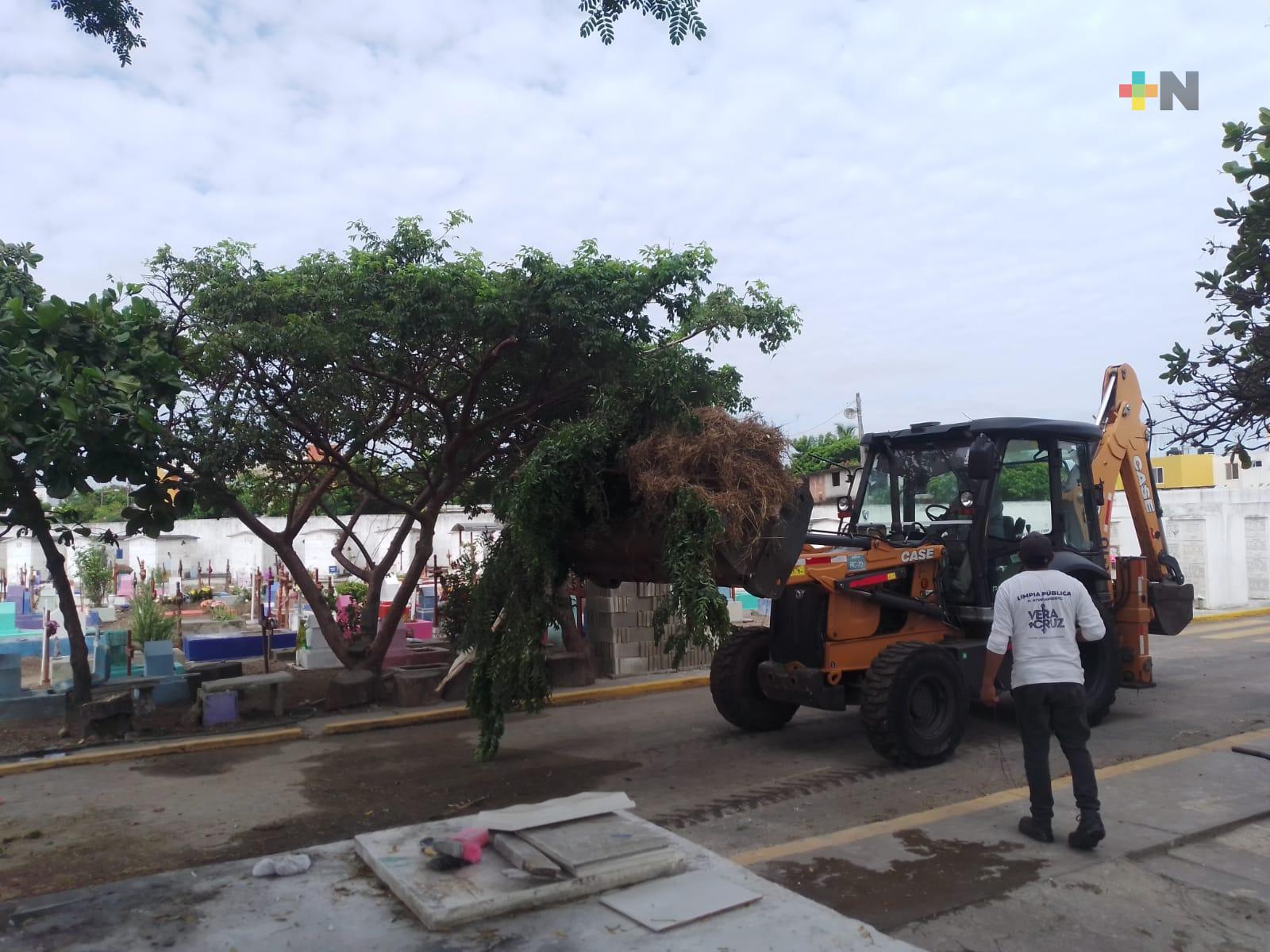 Labores de limpieza en panteón municipal de Veracruz con maquinaria pesada