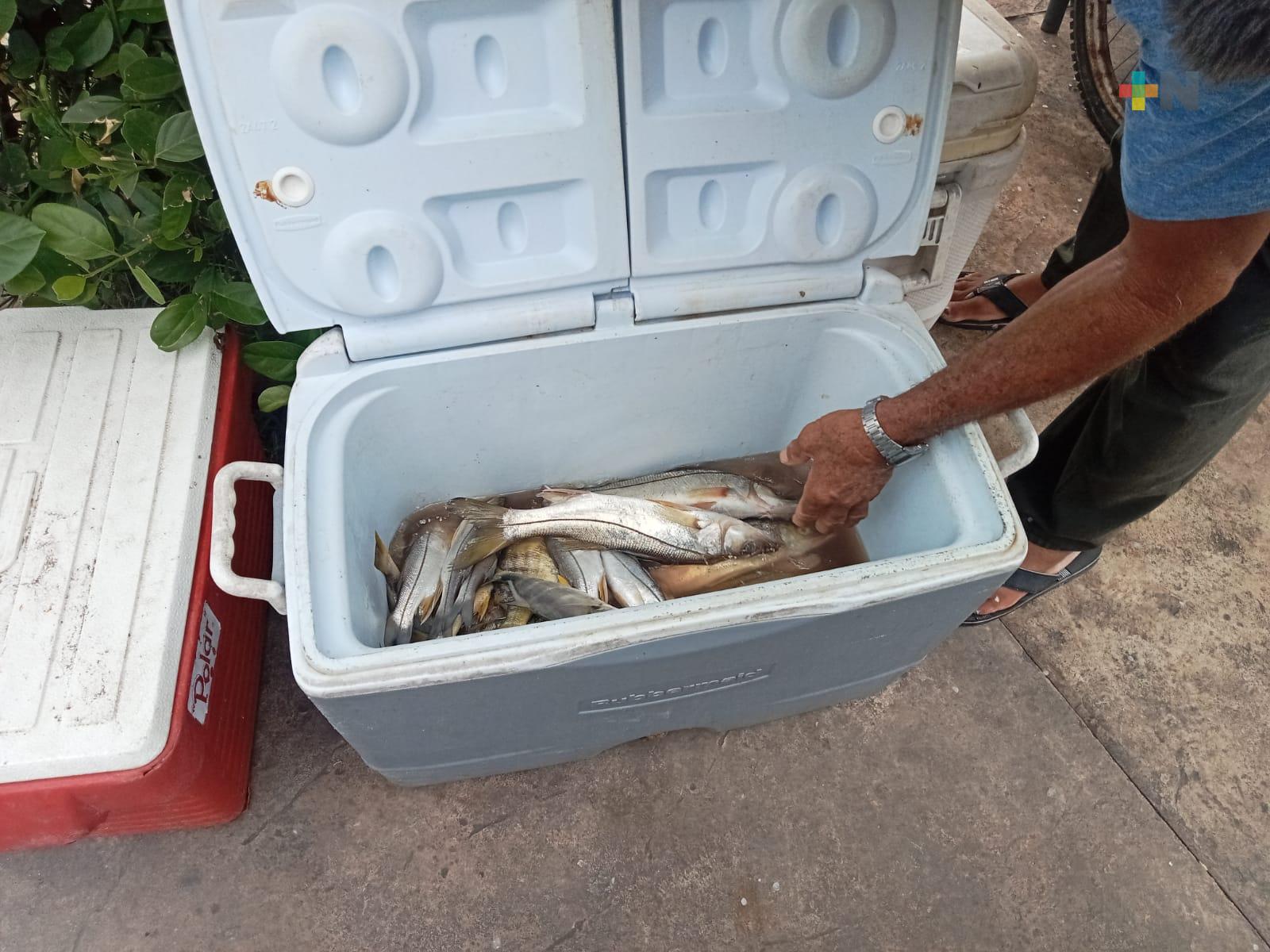 En Boca del Río hay ventas estables de pescado y marisco; precios se mantienen