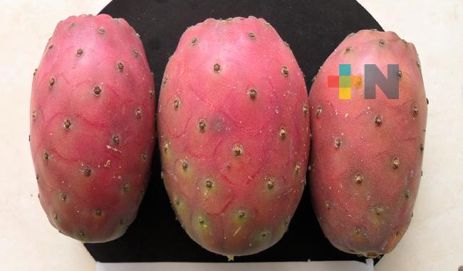 Investiga Agricultura propiedades funcionales de la tuna “roja lisa”