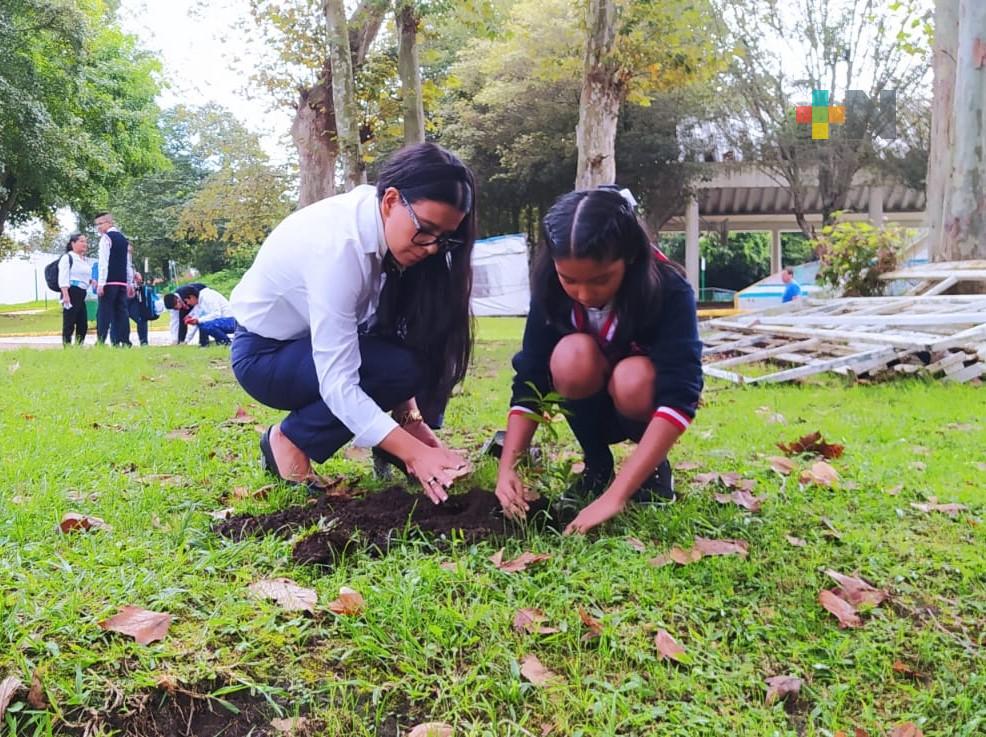 Reforestan áreas verdes del recinto ferial de Banderilla