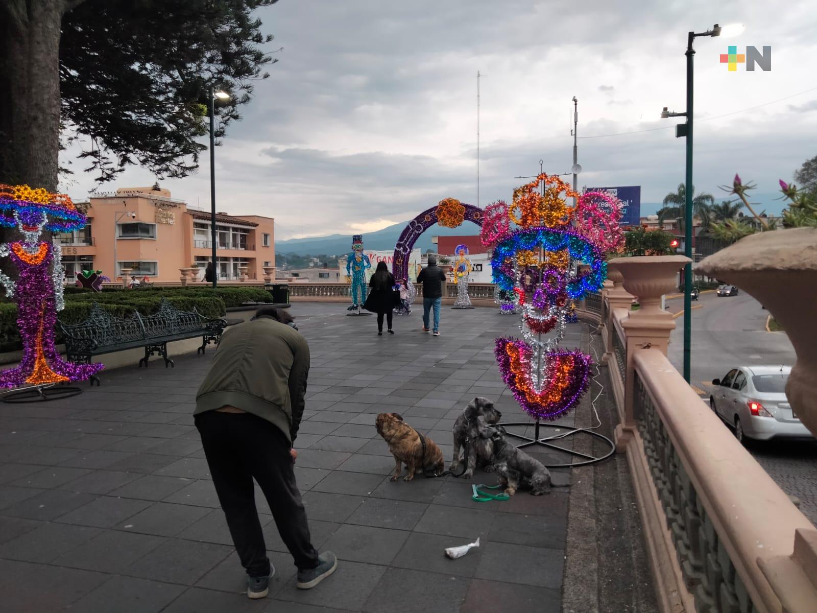 Con eclipse anular, visitantes de Xalapa se tomaron fotos en adornos iluminados de Día de Muertos