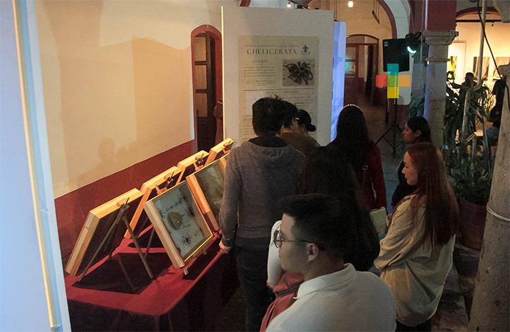 Estudiantes y profesores UV inauguraron exposición sobre artrópodos