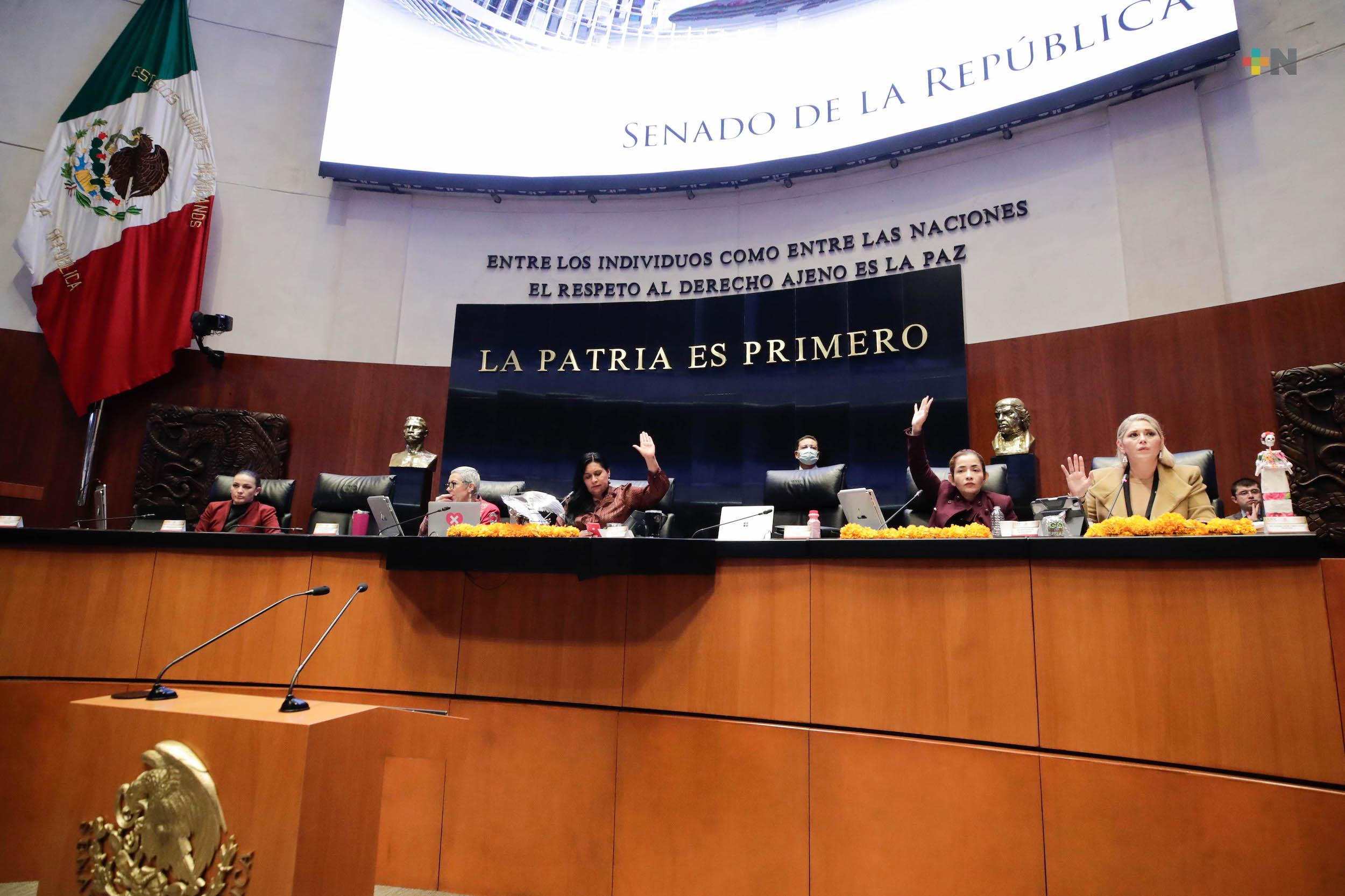 Se construirán consensos en el Senado para desahogar nombramientos en el TEPJF