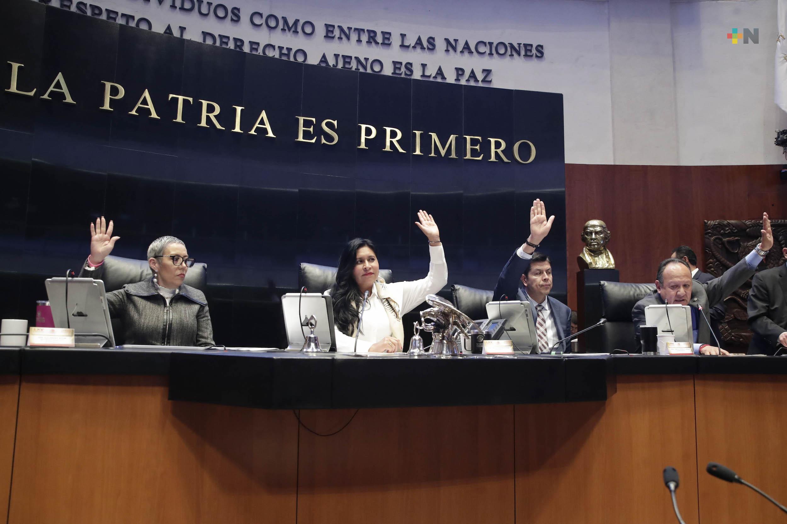 En primera votación, ninguna aspirante a magistrada de SCJN logra mayoría calificada