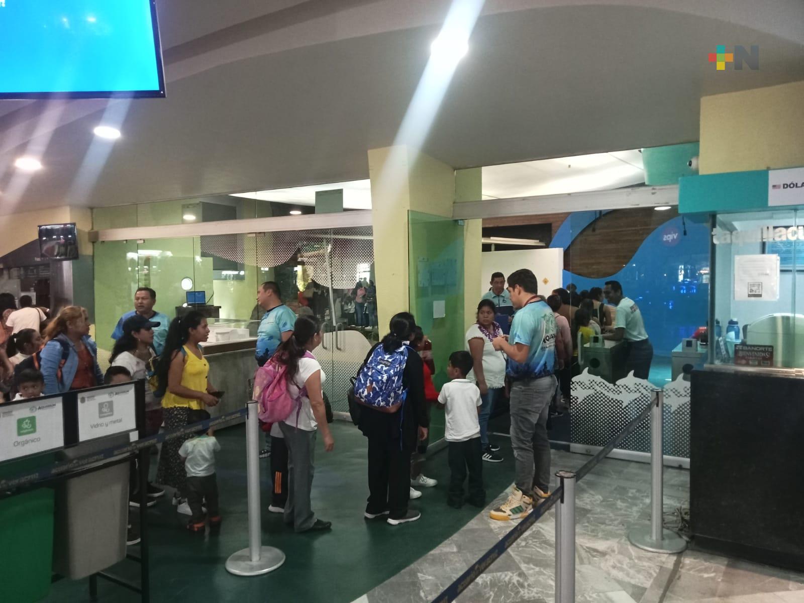 Segundo martes de cada mes, personas pueden acceder gratis al Aquarium