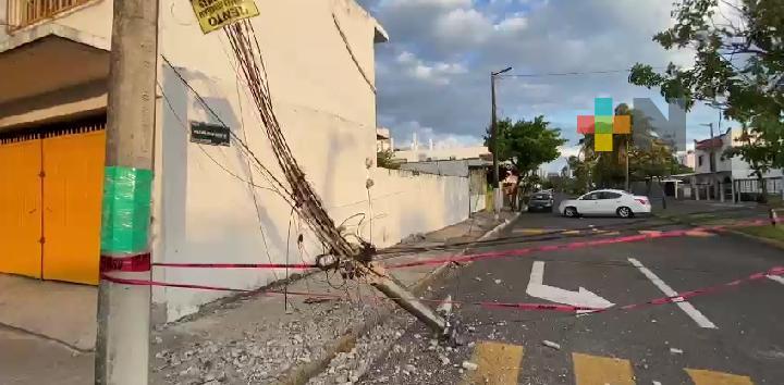 Pese a caída de árboles y postes, frente frío 11 afectó menos que el anterior en ciudad de Veracruz