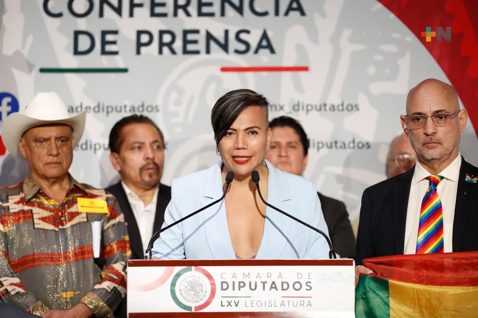 Celebran legisladores y activistas que el INE avalara cuotas de minorías para el Senado de la República