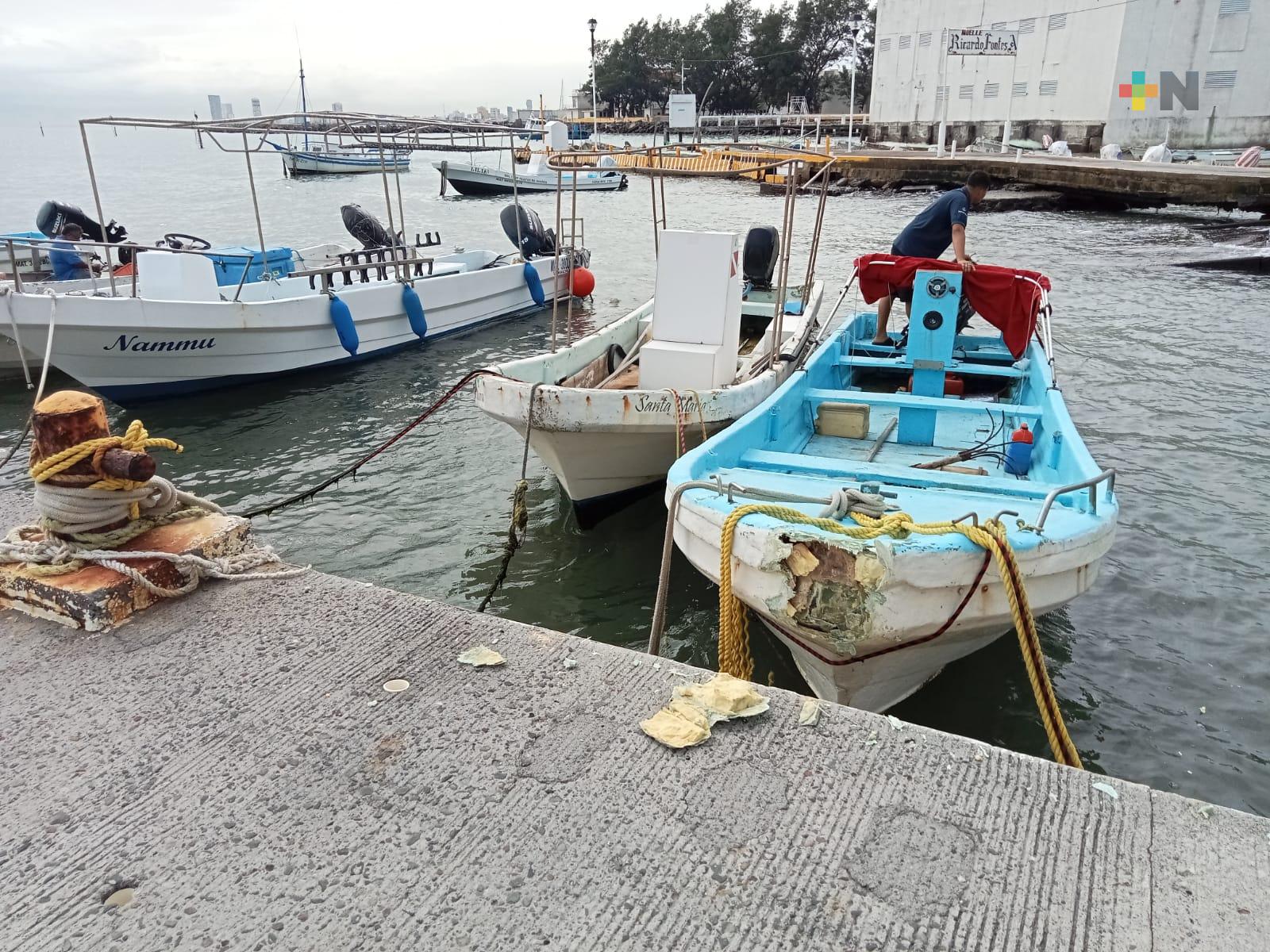 Pescadores de Veracruz puerto tuvieron pérdidas sensibles por frente frío 8
