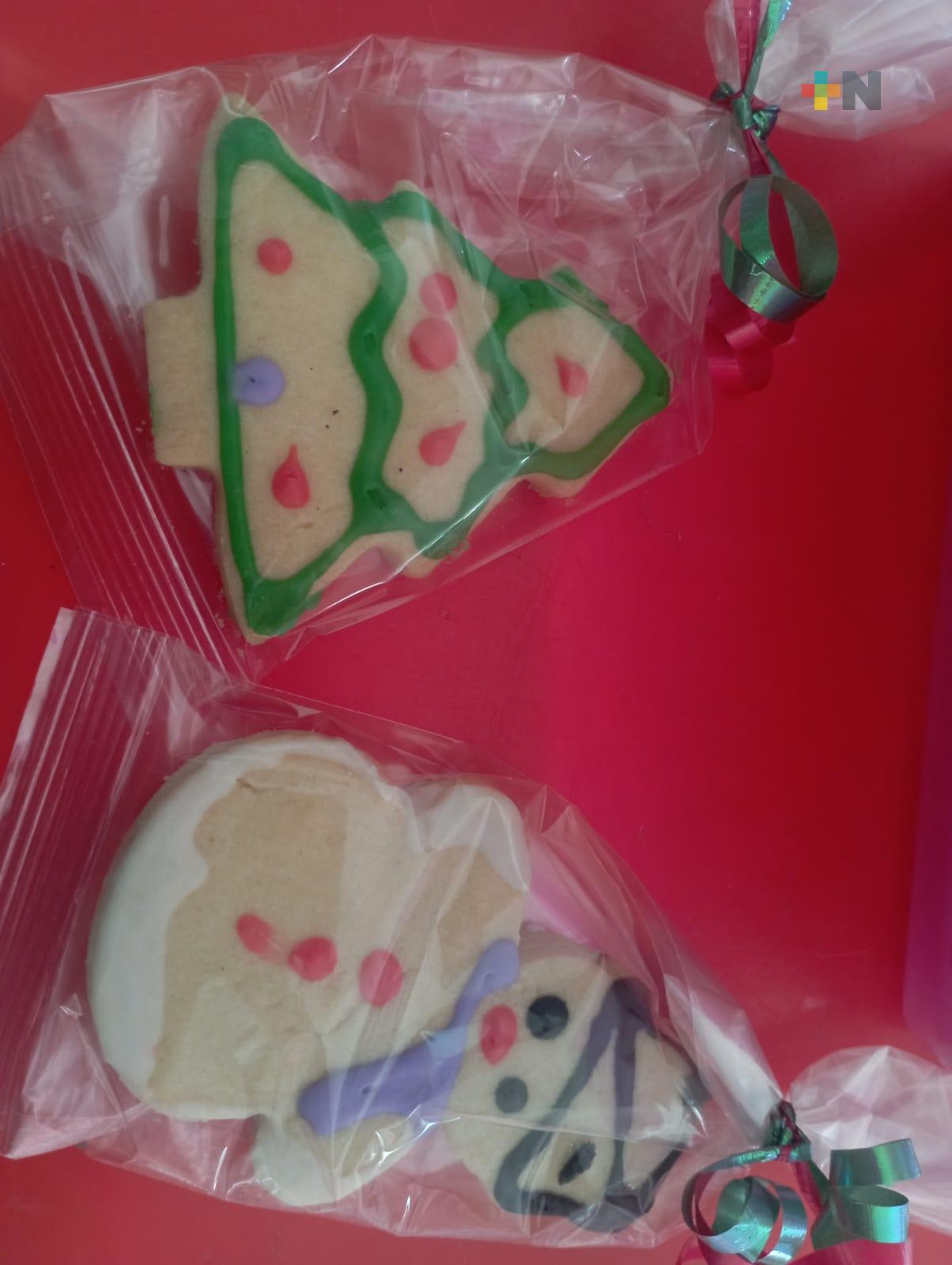 Apoyo Integral Down vende nochebuenas y galletas para recaudar fondos