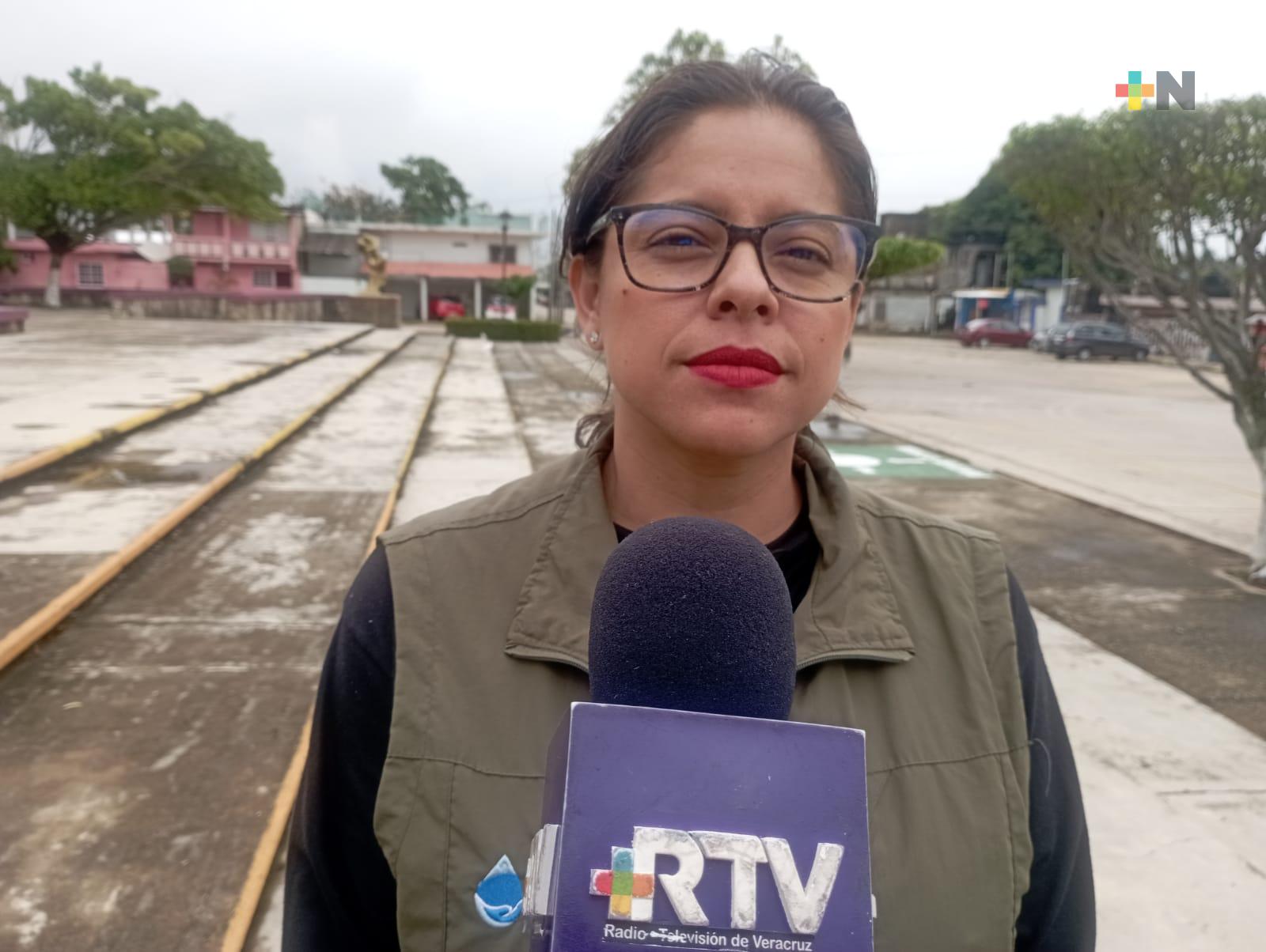 Pide CMAS Coatza no plantar árboles sin supervisión; hay peligro latente al crecer