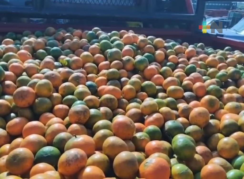 A Martínez de la Torre llega la fruta cítrica que se produce en la región