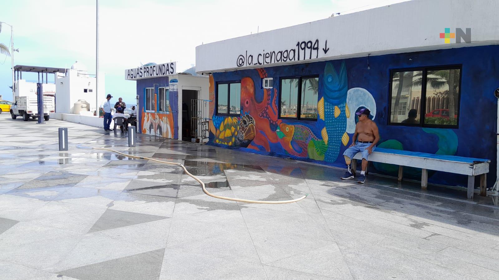 Pescadores del puerto de Veracruz tienen en puerta proyecto para remodelación de muelle