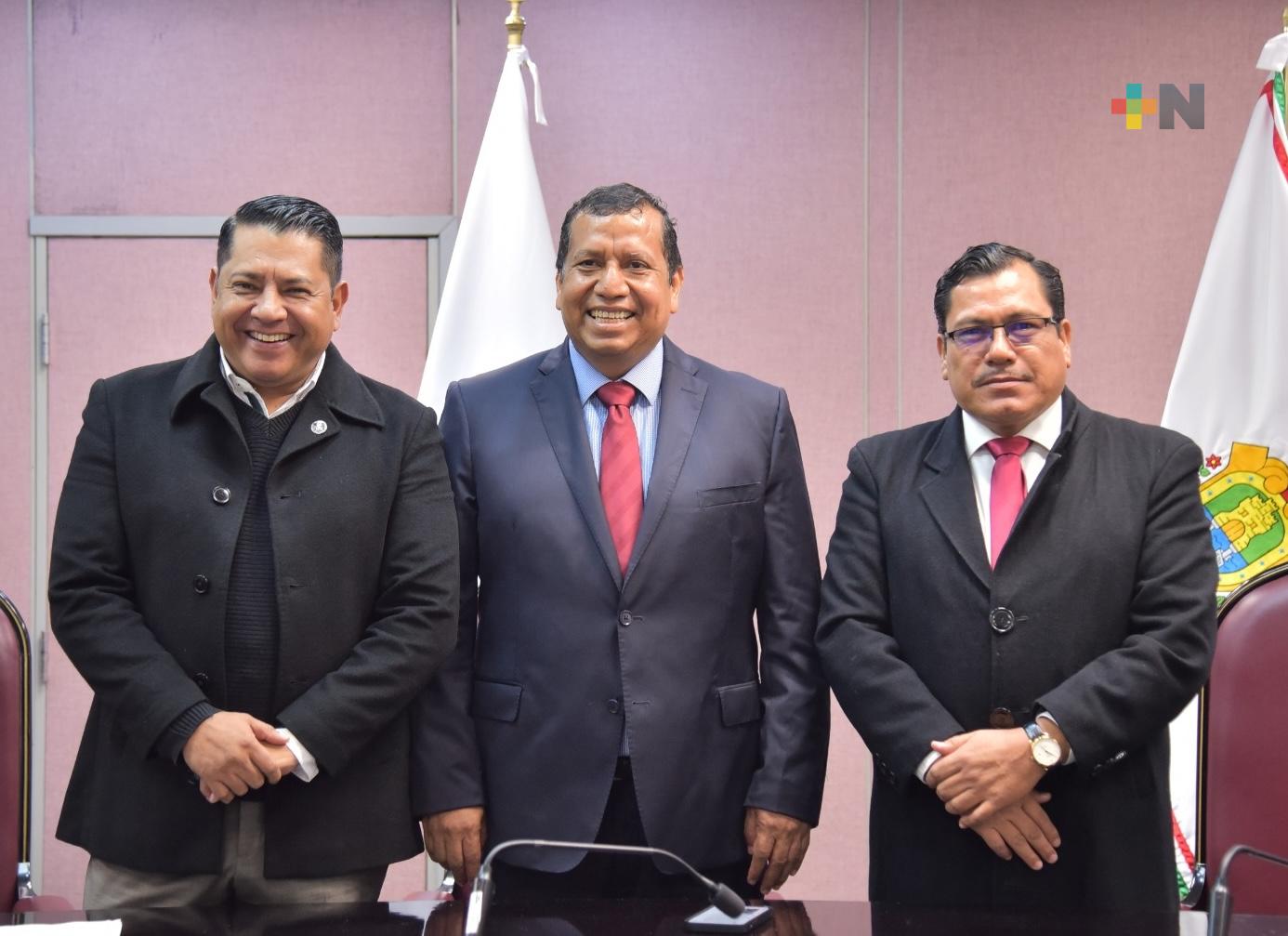 Veracruz, líder nacional en producción agrícola: Sedarpa