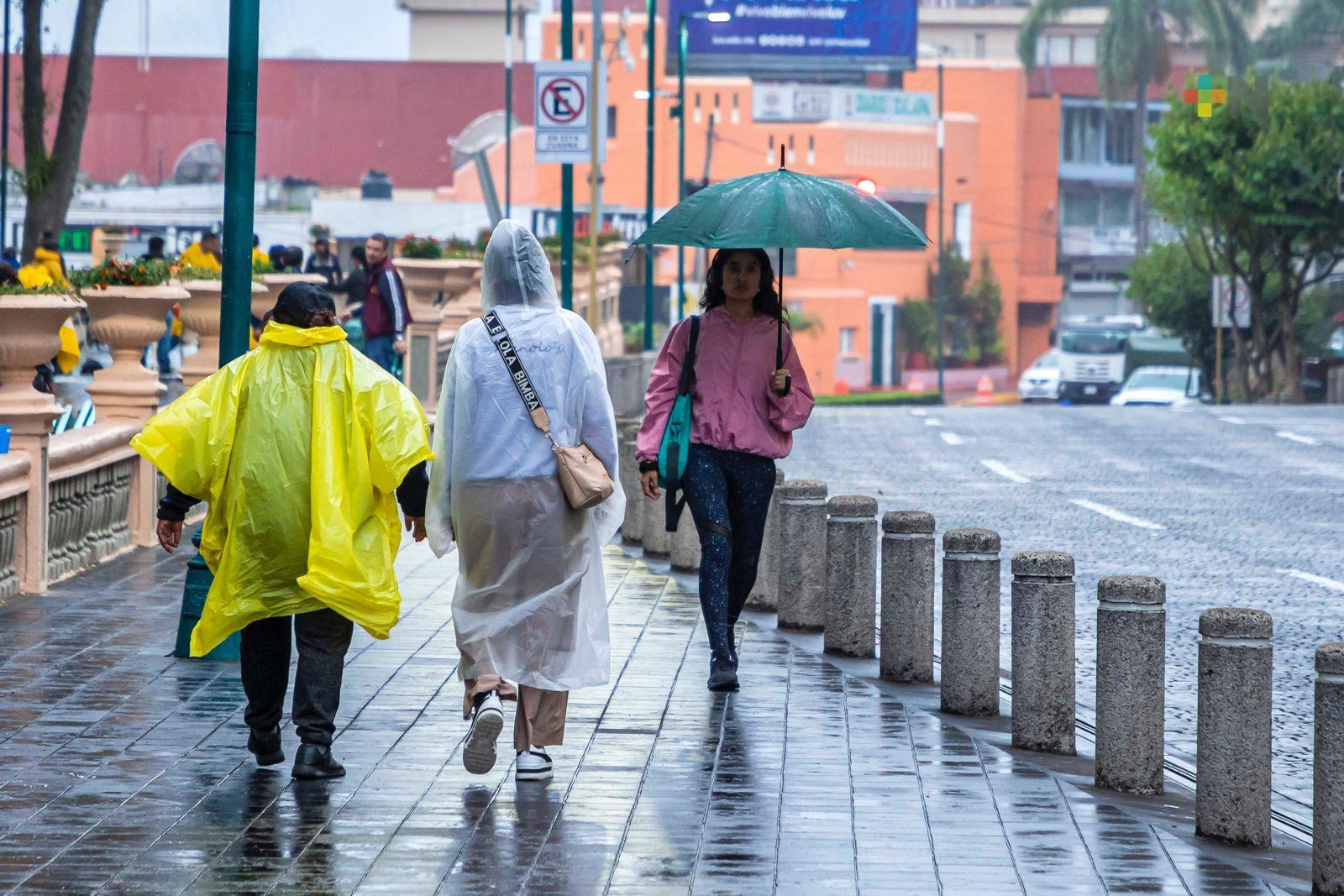 Se mantiene Frente frío 9, se prevén lluvias torrenciales en Veracruz, Chiapas y Tabasco