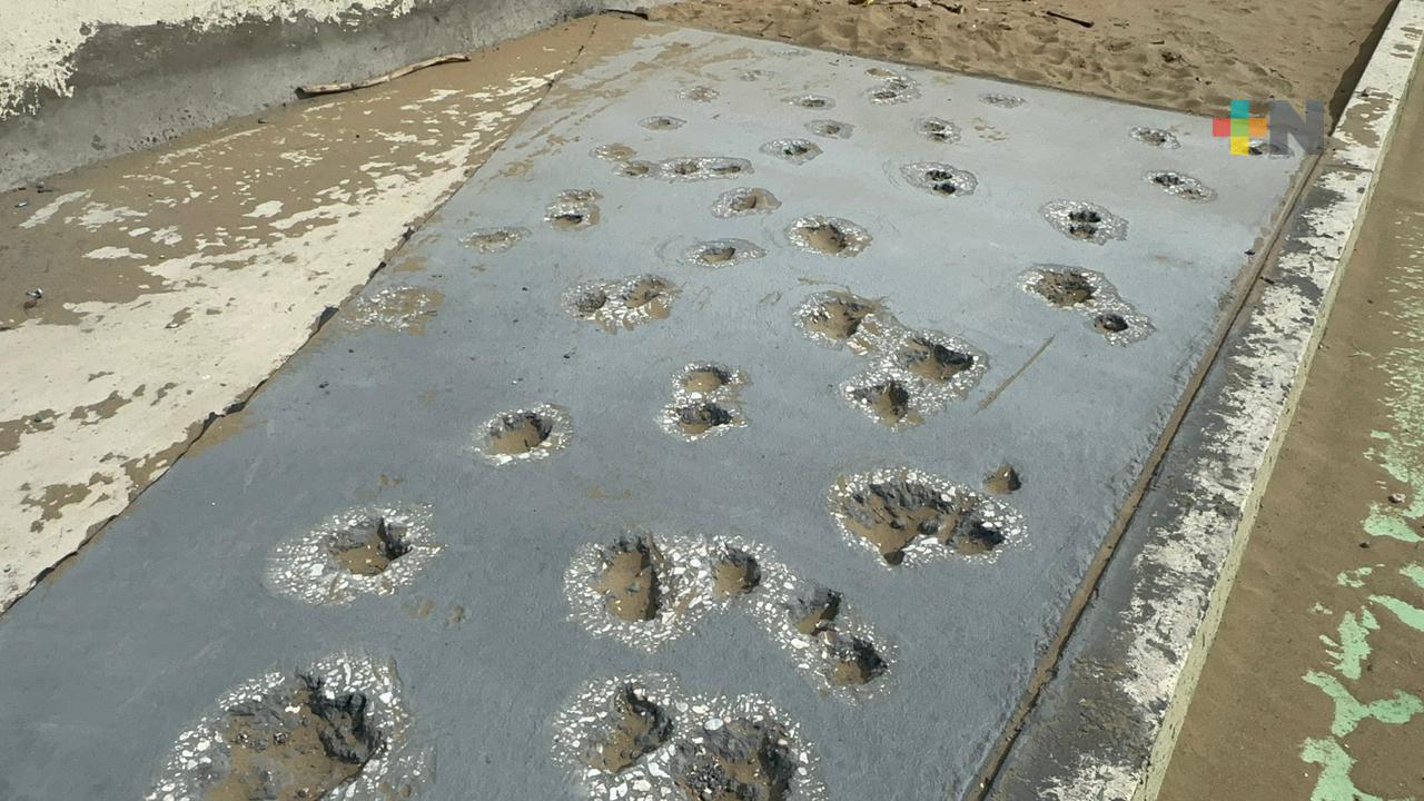 Perros sin correa dejan huellas en malecón recién rehabilitado en Coatza