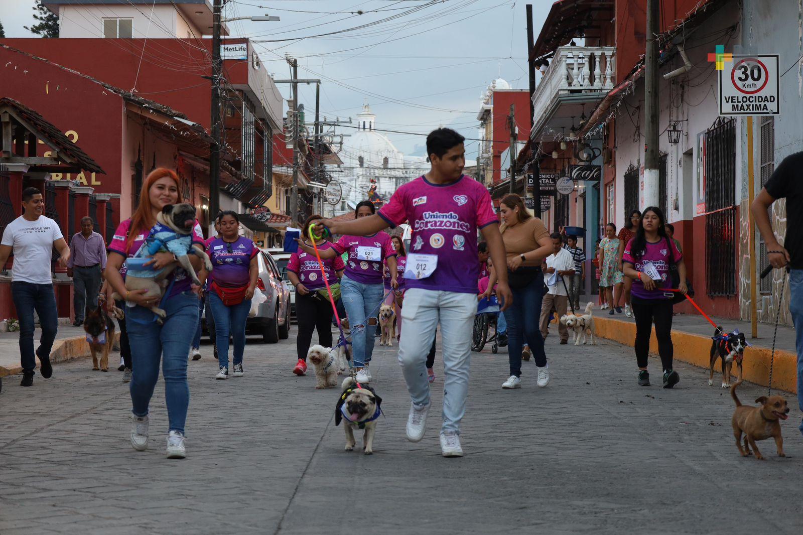 Realizan segunda caminata “Un paseo de pelos” en Misantla