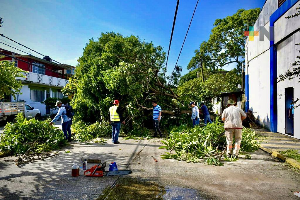 Ayuntamiento de Coatzacoalcos intensifica limpieza y reparación de afectaciones por frente frío 8