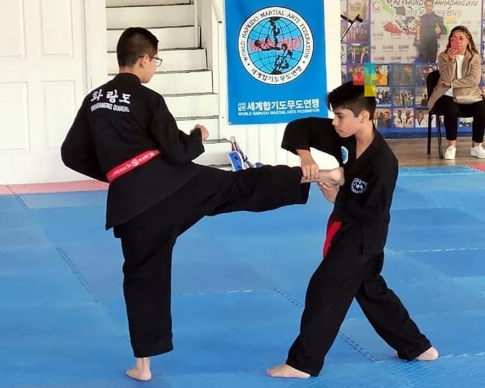 Artemarcialistas veracruzanos se certifican internacionalmente en Hapkido