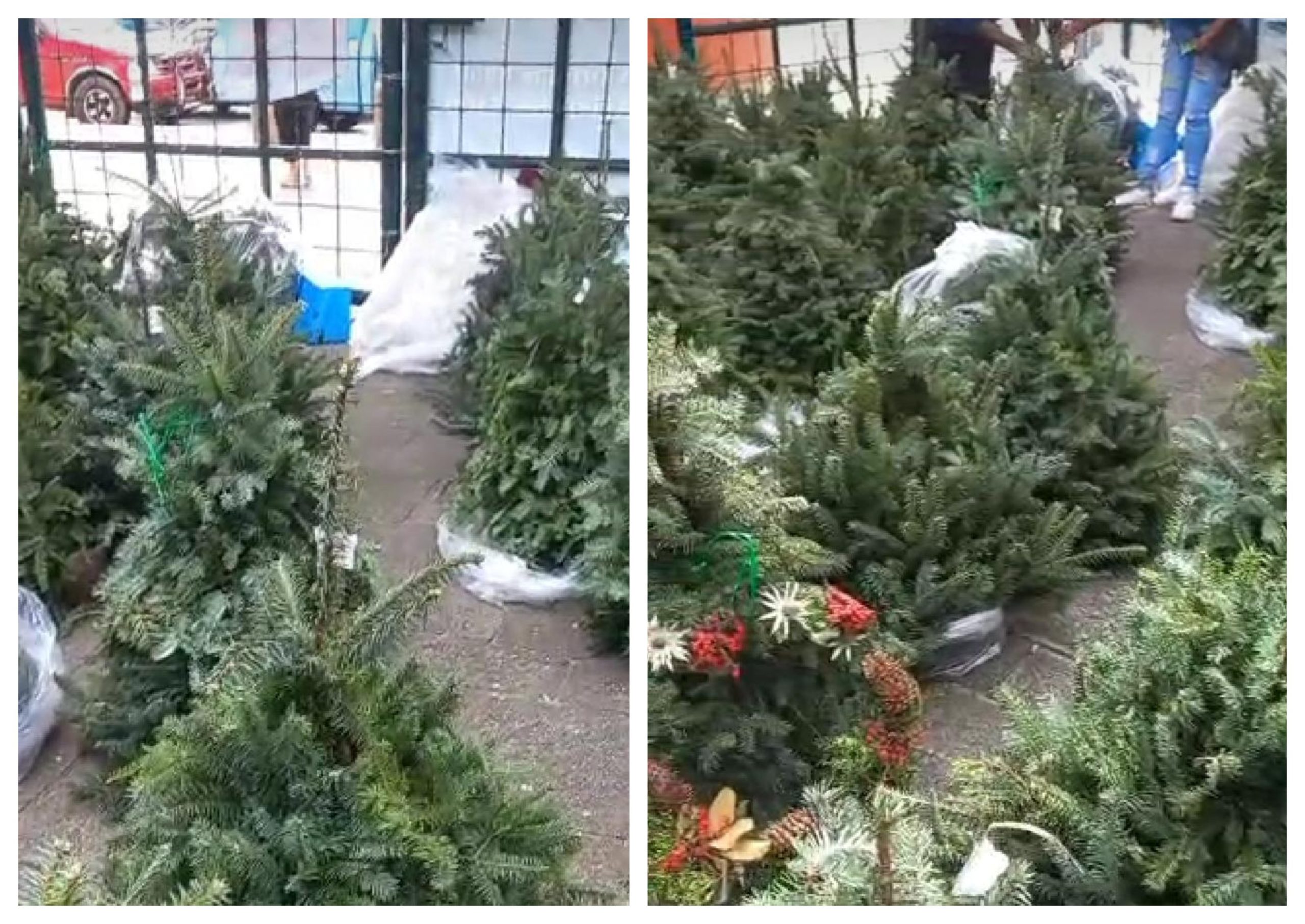 UV campus Mocambo ofrece un área para que artesanos vendan pinos y adornos