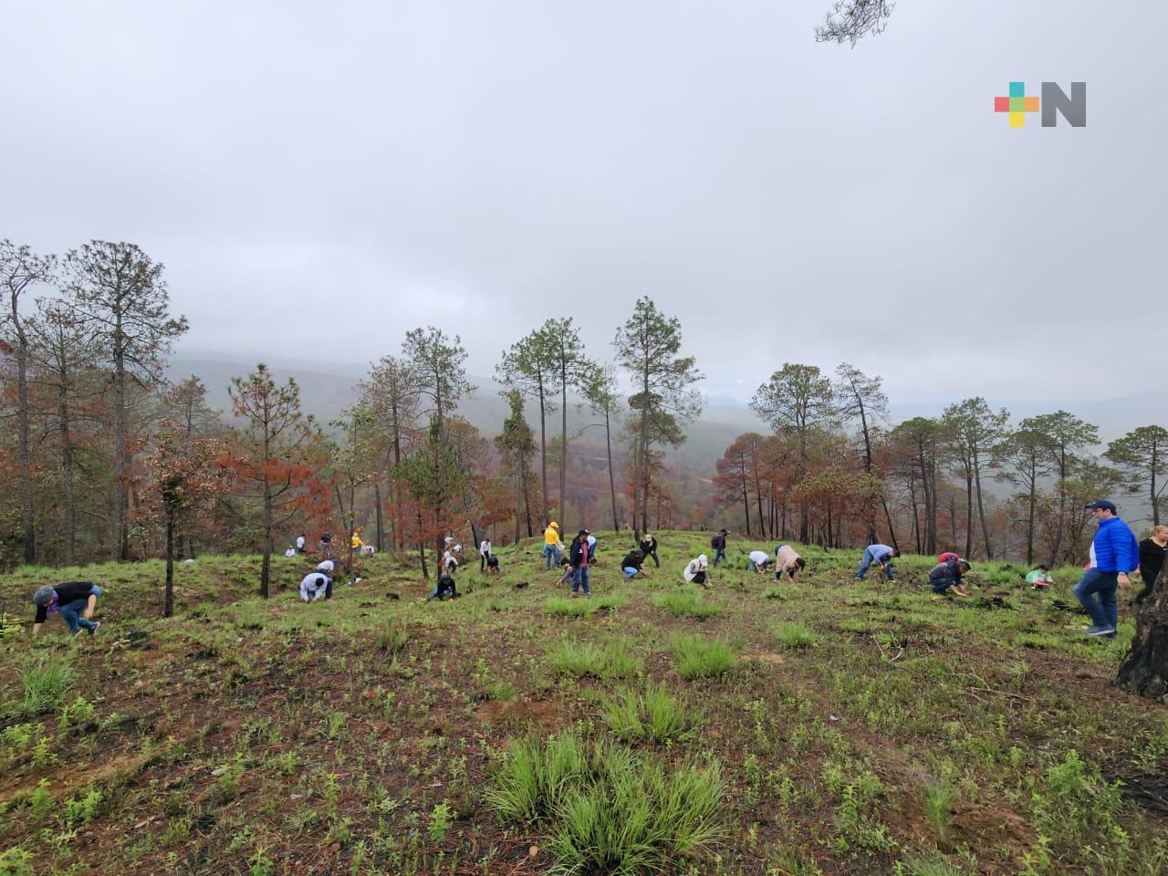 Gobierno estatal incrementó superficie de Áreas Naturales Protegidas: Sedema