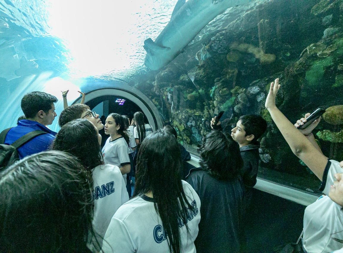 Con gran éxito realiza Aquarium del Puerto último martes gratuito del año