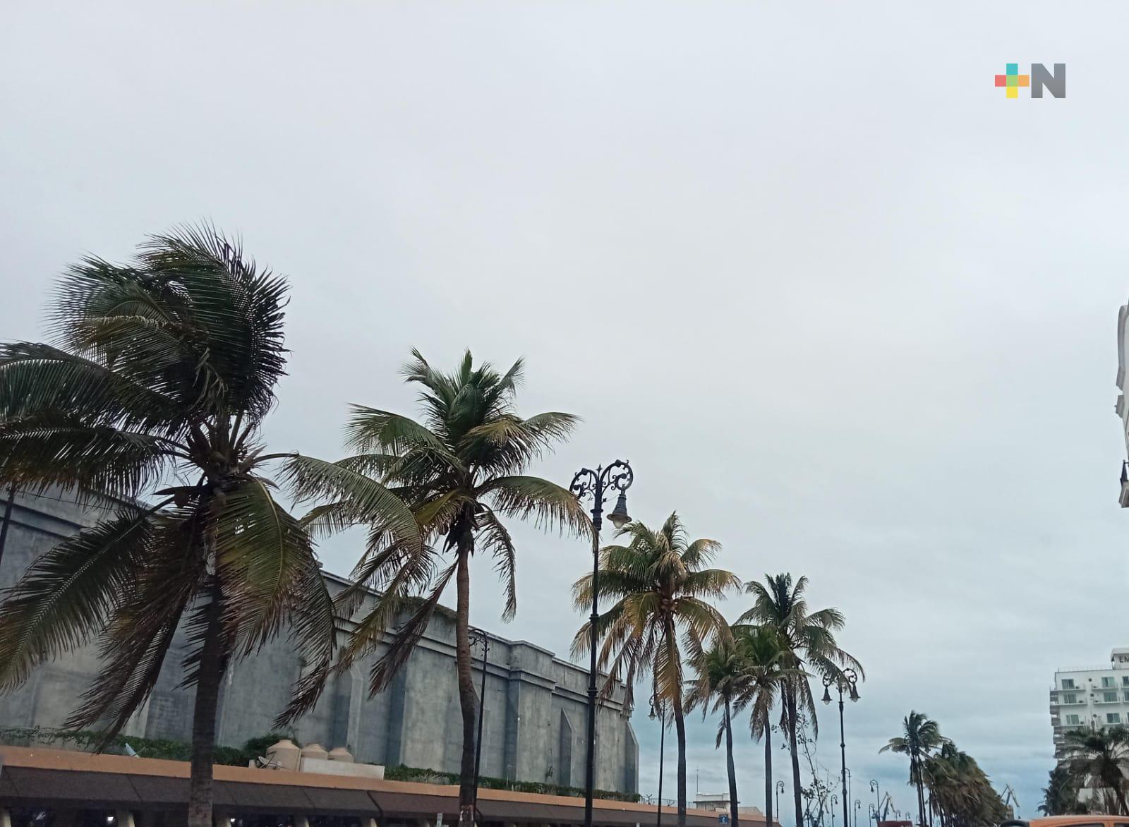 Lluvia persistirá en zona costera de Veracruz: Conagua
