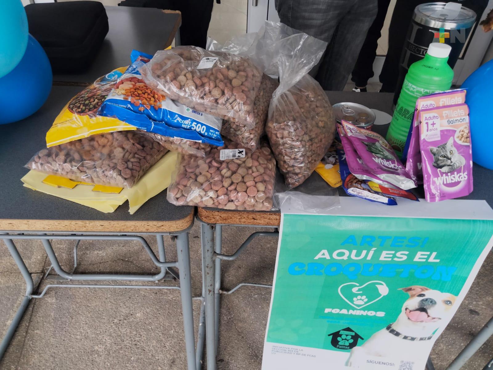 Estudiantes de la UV acopian croquetas y productos de limpieza en beneficio de refugios de Xalapa
