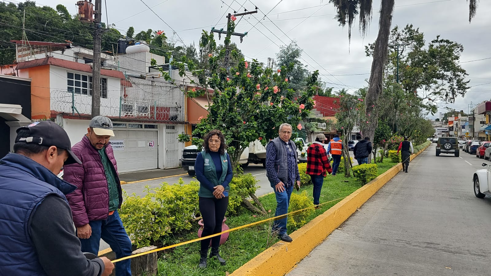 Para evitar futuros accidentes intervendrán árboles en avenida Murillo Vidal