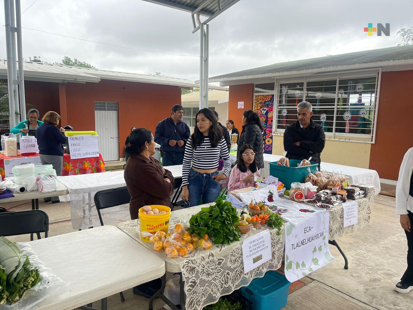 Primera jornada agroecológica itinerante en Otilpan,  municipio de Tlalnelhuayocan