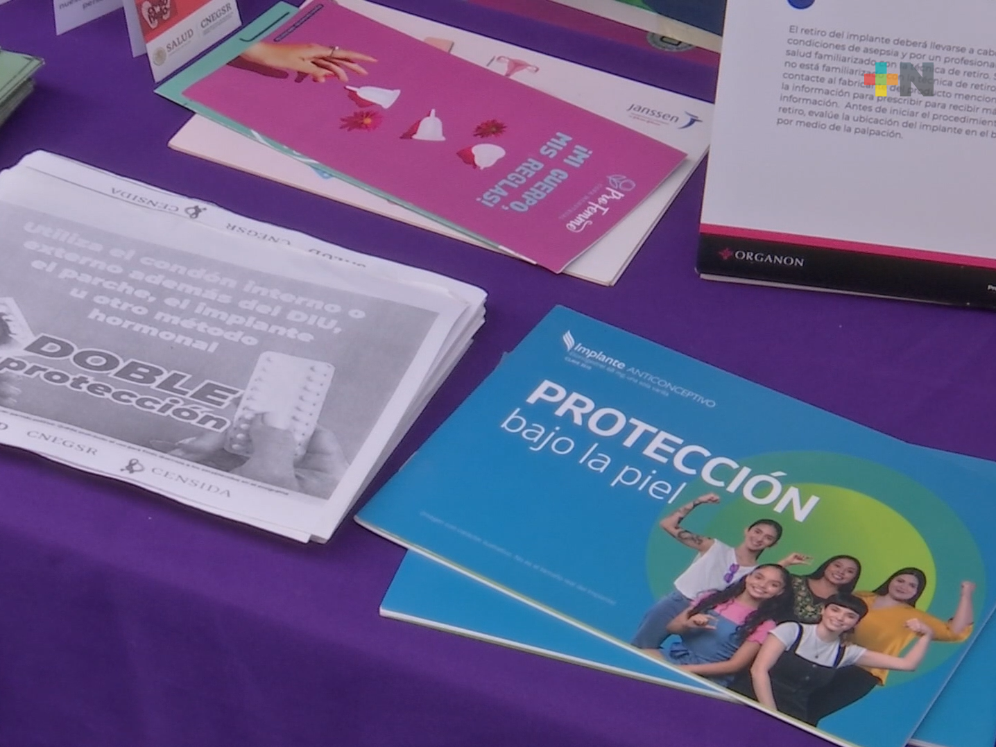 Autoridades realizan Sexpo Xalapa en Conalep 162