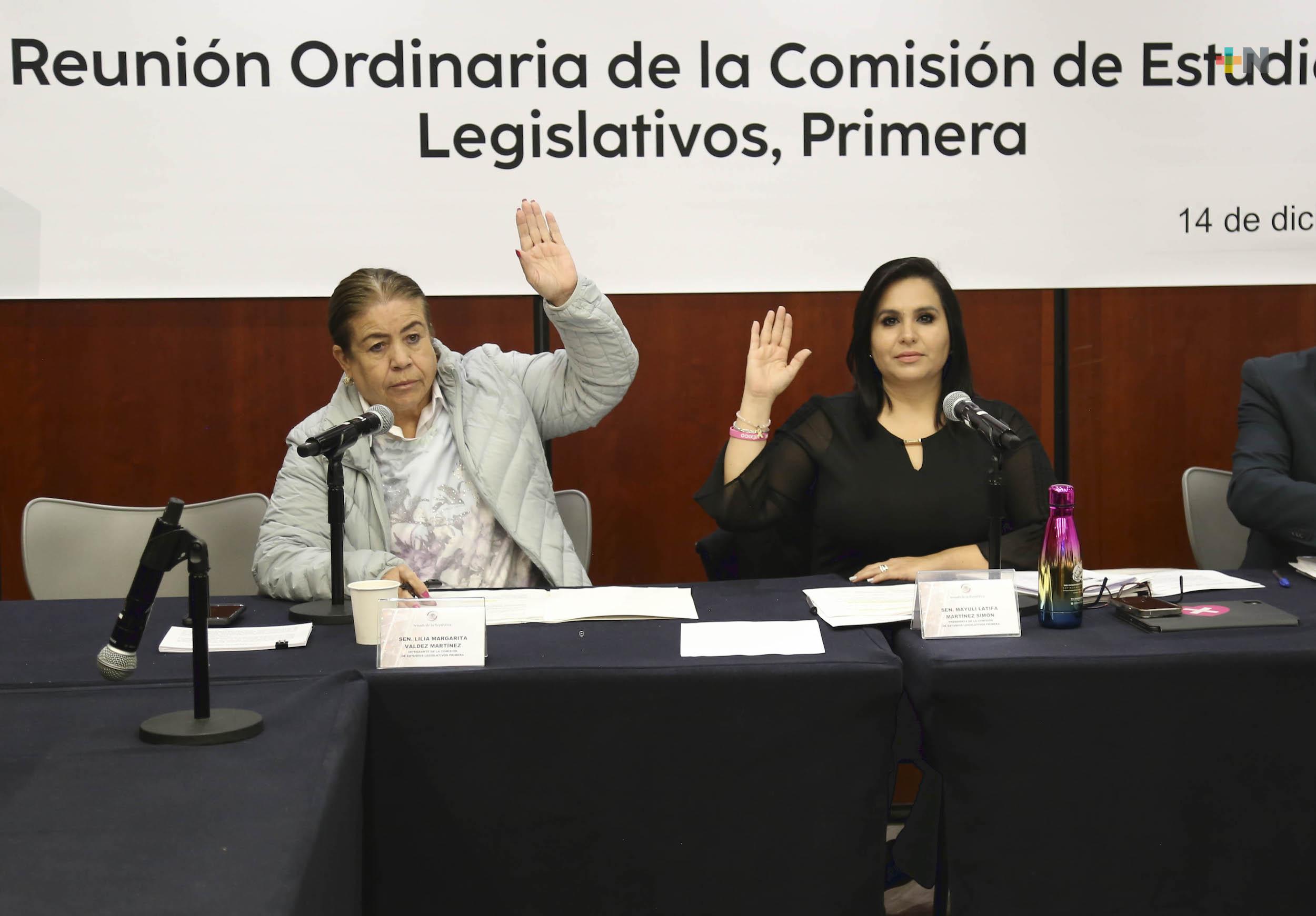 Avanza en comisiones del Senado uso gratuito de rampas de emergencia