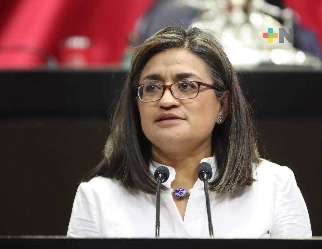 Propone Aleida Alavez incluir perspectiva de género en el Plan Nacional de Desarrollo