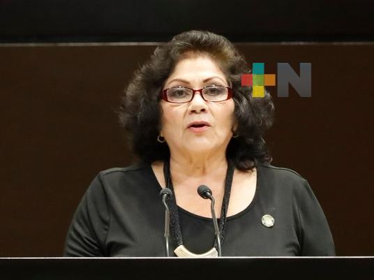 Proponen digitalizar materiales lingüísticos indígenas para asegurar su preservación y difusión