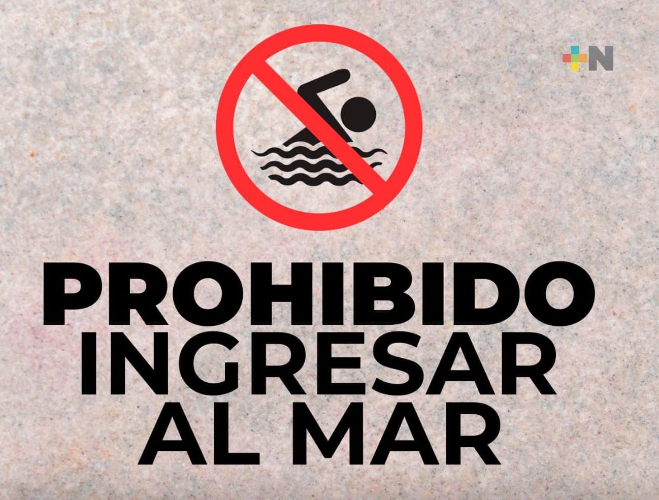 ¡Tiburón a la vista! Prohiben ingresar a la costa sur de Cihuatlán, Jalisco