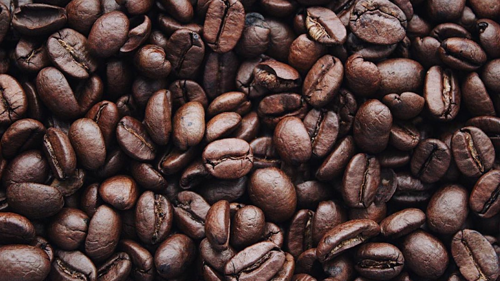 Aroma e intensidad del café depende del tostado