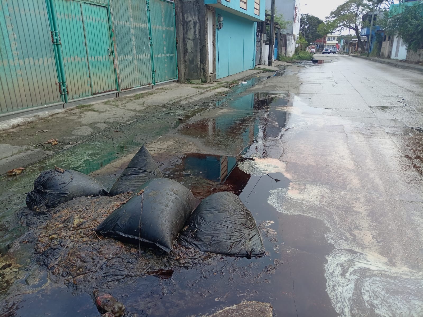 Vísceras de animales botadas en vía pública causan movilización políciaca