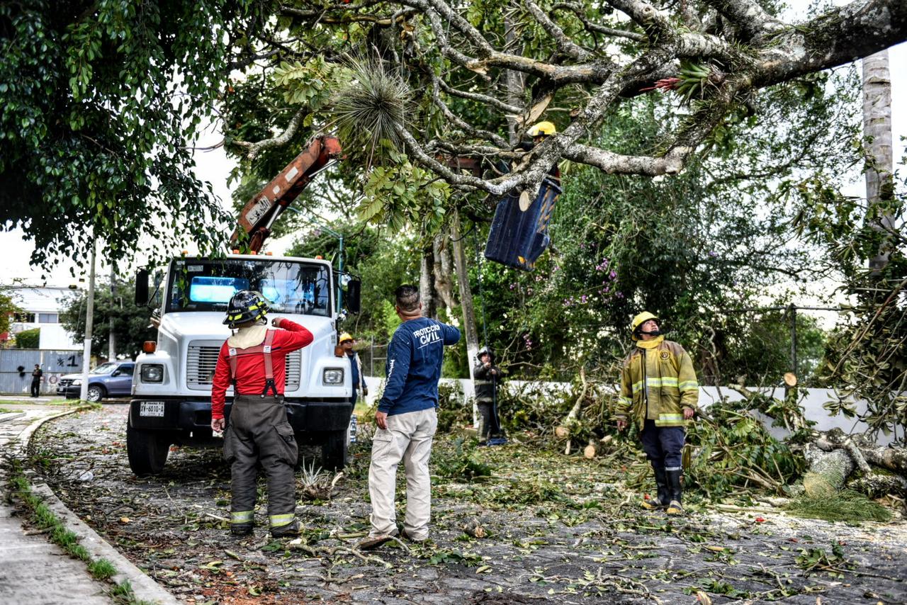 Atiende ayuntamiento de Xalapa emergencias por frente frío 16