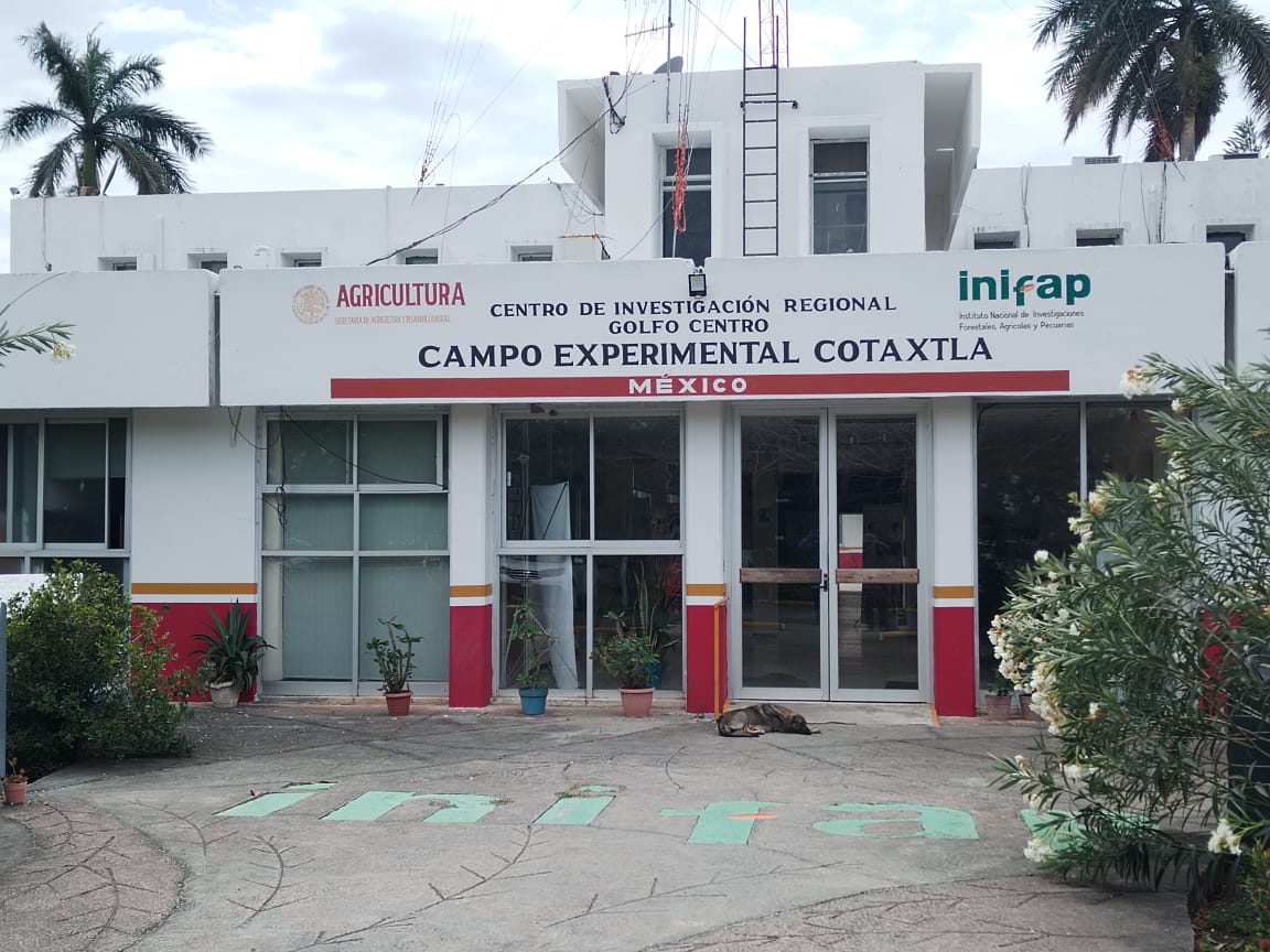 Con ponencias celebrarán aniversario del Campo Experimental Cotaxtla