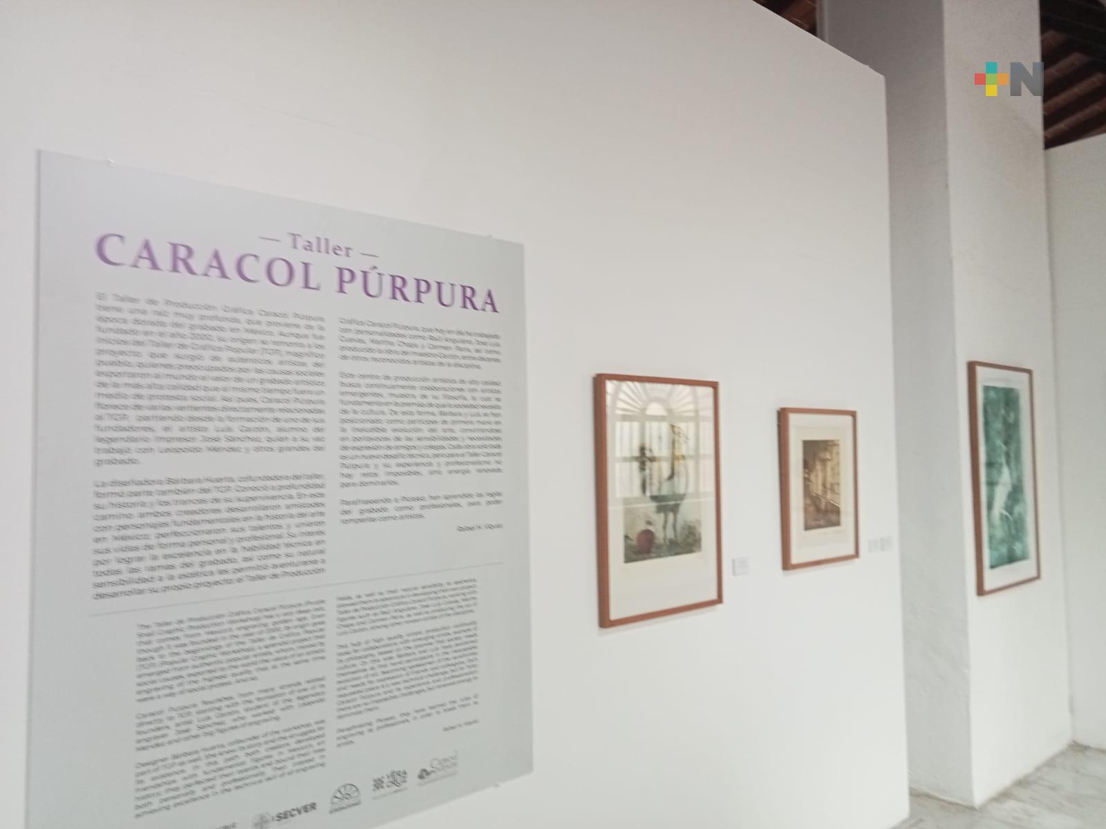 Inauguran exposición «Taller caracol púrpura» en Centro Cultural Atarazanas