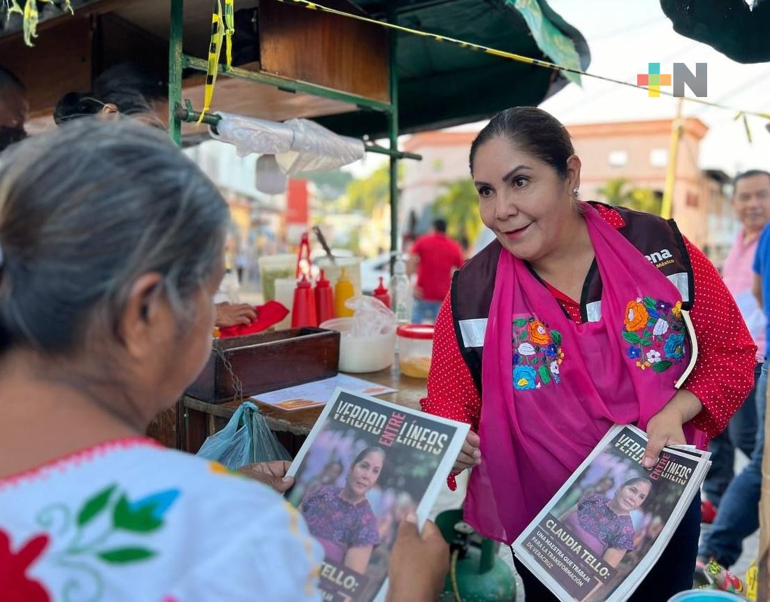 Experiencia legislativa y trabajo en tierra garantiza, Claudia Tello