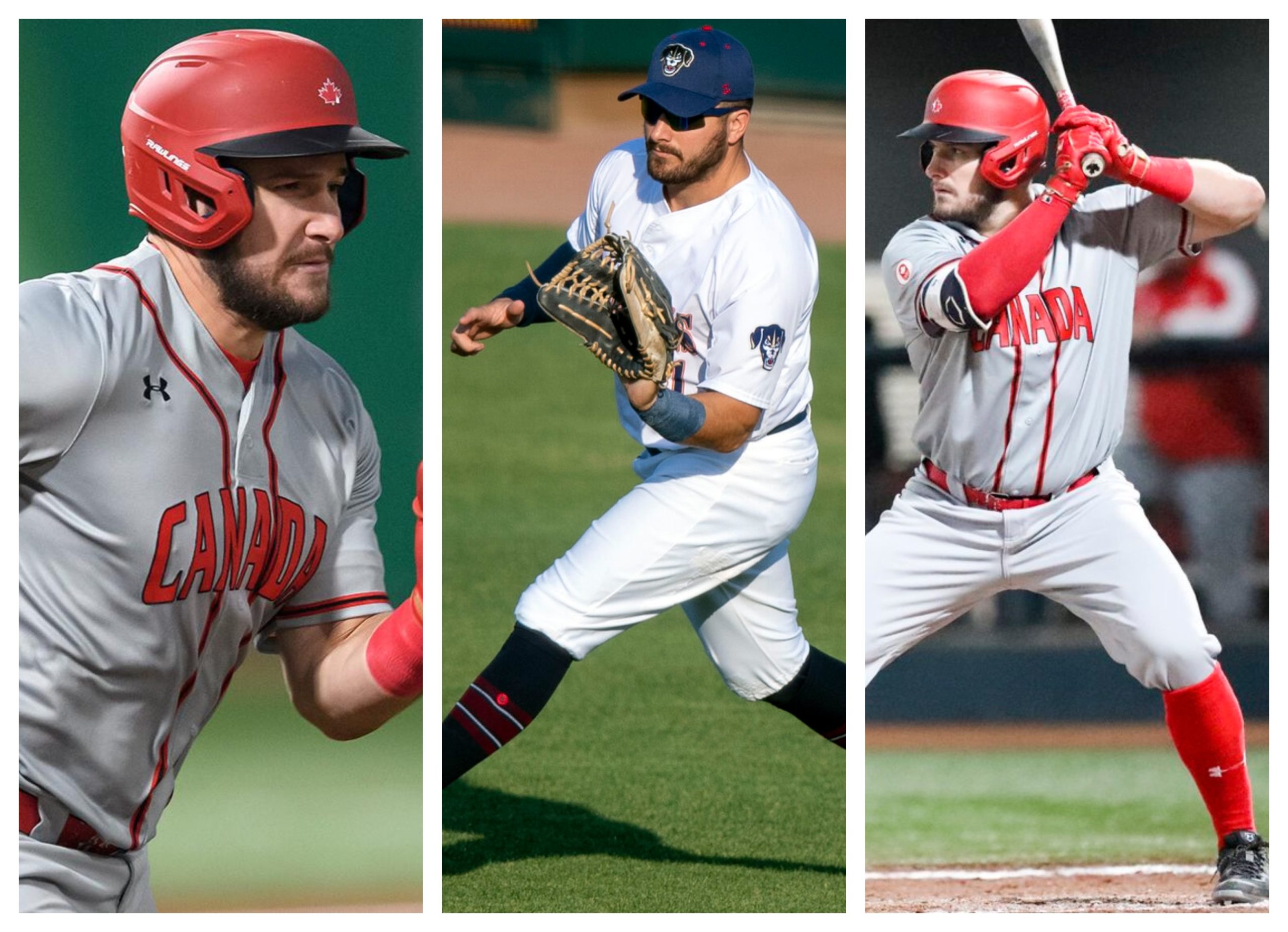 Pelotero canadiense reforzará a El Águila de Veracruz