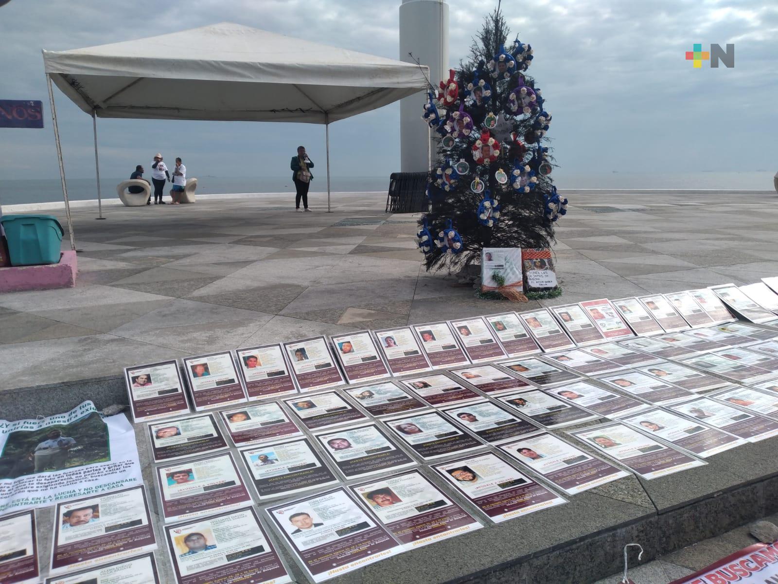 Distintos colectivos de Veracruz optaron por montar «Árbol de la ausencia»