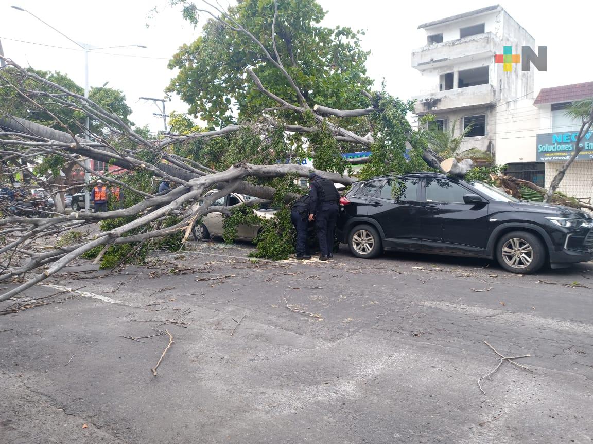 Frente frío 16 deja dos personas lesionadas y graves daños en Veracruz y Boca del Río