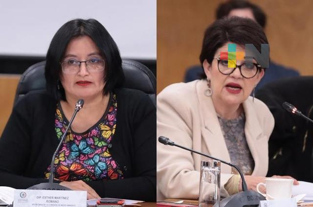 Crisis climática, problema de seguridad nacional: Diputadas