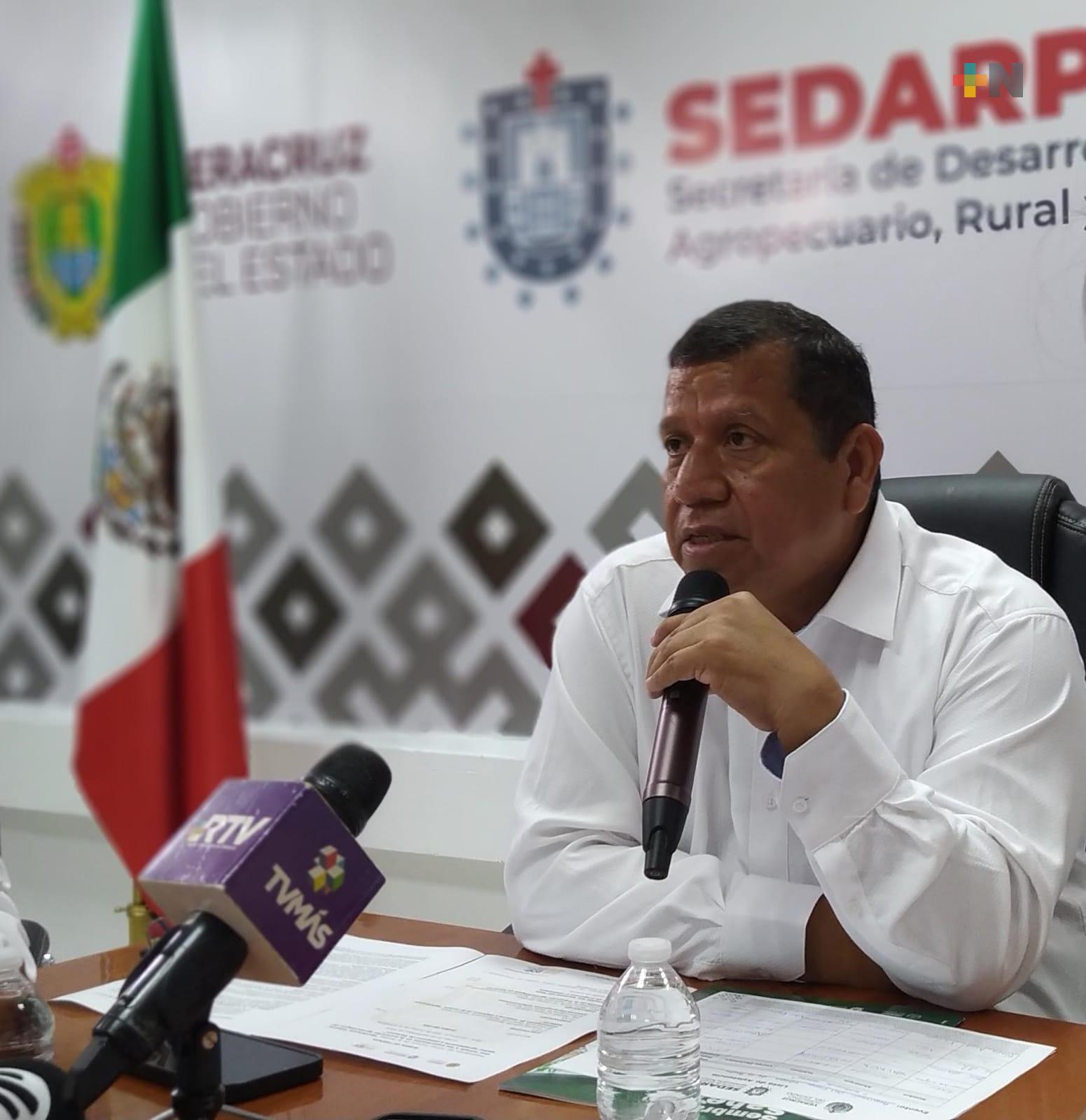 Sedarpa y Sedecop buscan mercados competitivos para el café