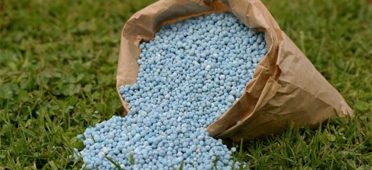 Inversión superior a 3 mil mdp a la construcción de la planta de fertilizantes en Poza Rica