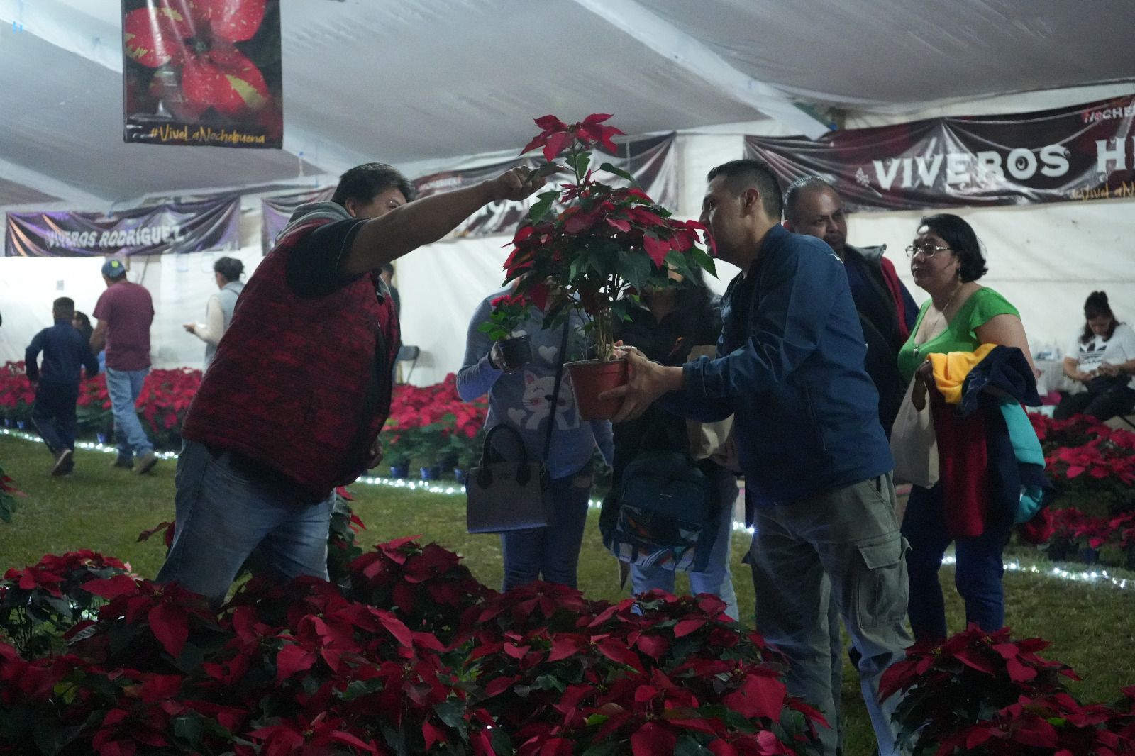 Esto es lo que puedes encontrar en el Festival de la Nochebuena La Estanzuela 2023