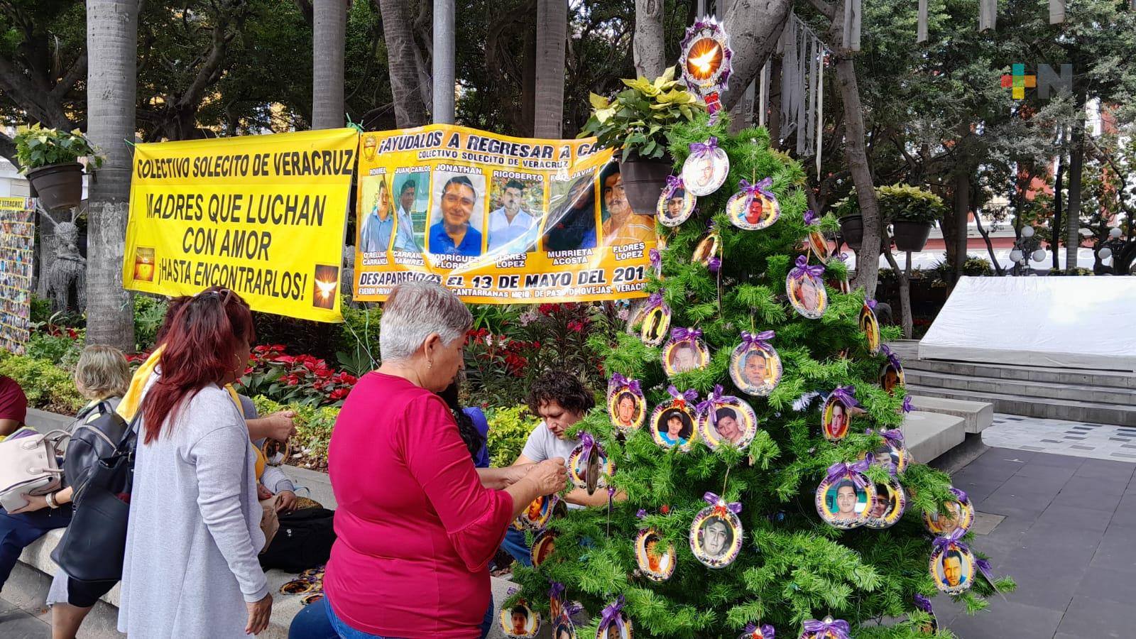 Instala colectivo Solecito «Árbol del dolor» en municipio de Veracruz
