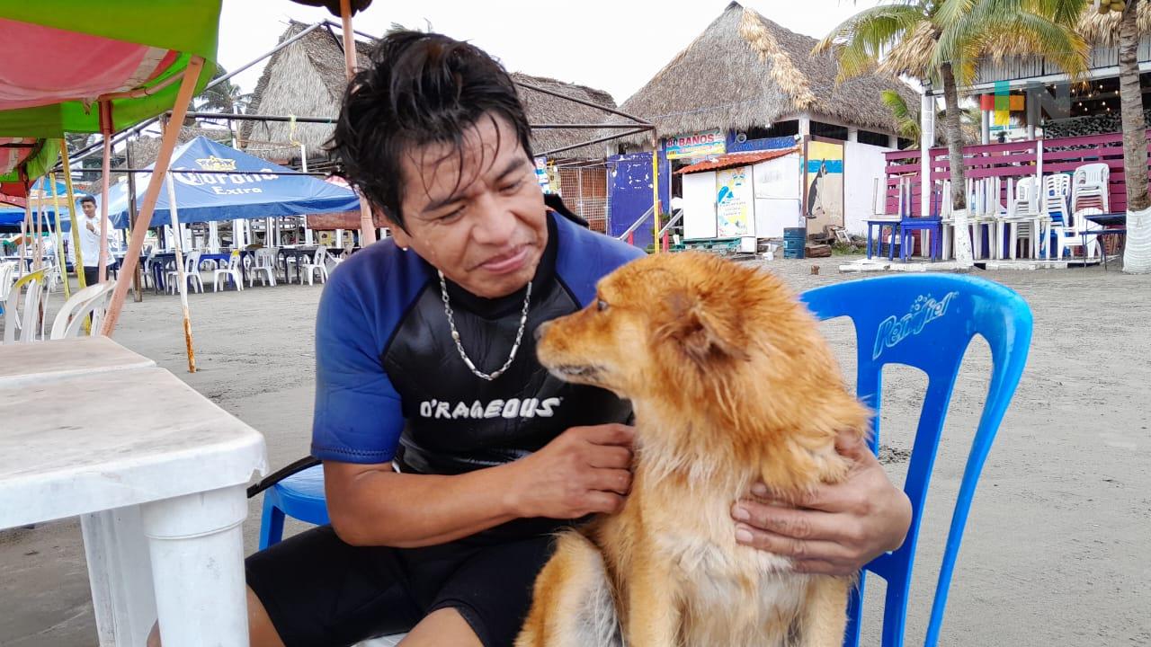 «Covid», perrita mestiza que surfea en playa Villa del Mar de Veracruz