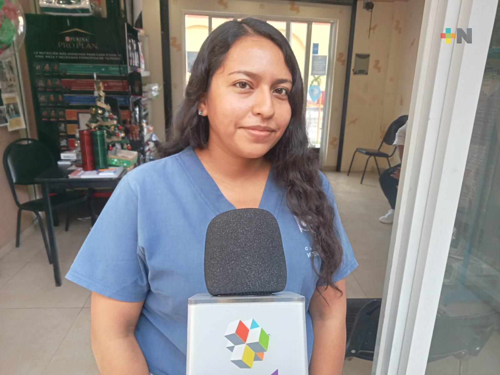 Mascotas corren peligro con la flor de nochebuena